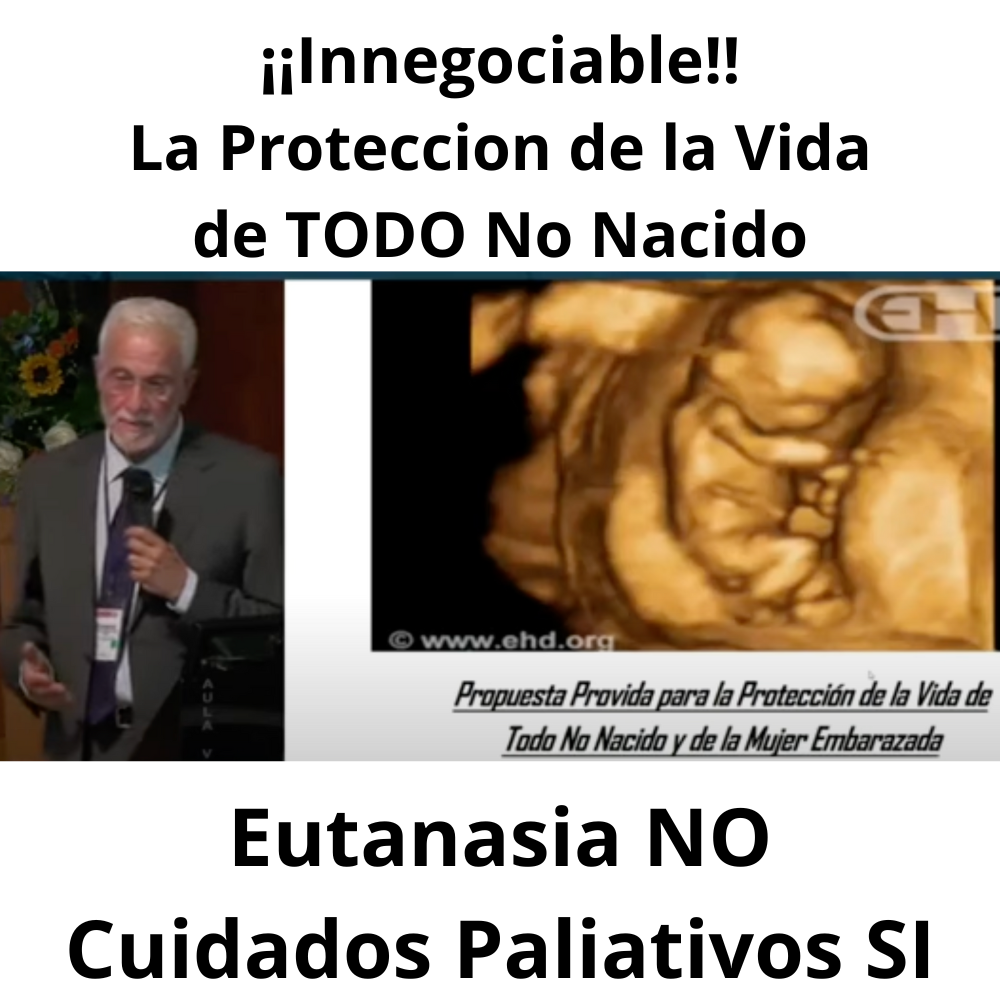 Video presentación del presidente de UCDE, en el congreso nacional de científicos católicos, sobre la Protección  de la Vida del No Nacido.